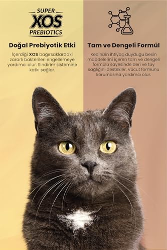 Reflex Plus Yetişkin Kediler için Somonlu Kedi Maması, 15 kg - Görsel 4