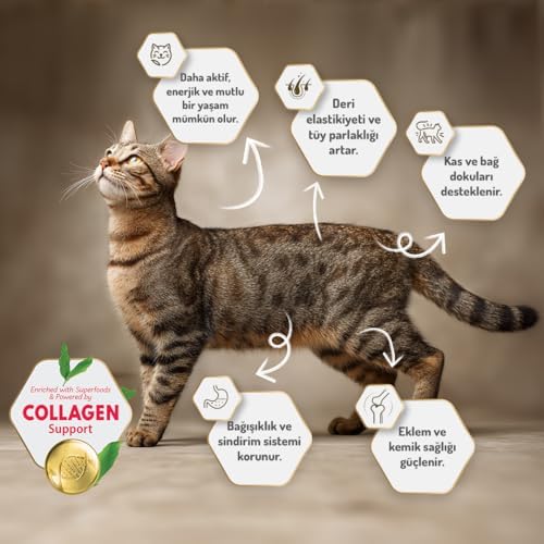 Felicia 5 Kg Kolajenli Somonlu Az Tahıllı Kısırlaştırılmış Kedi Maması HypoAllergenic Kedi Maması - Görsel 6