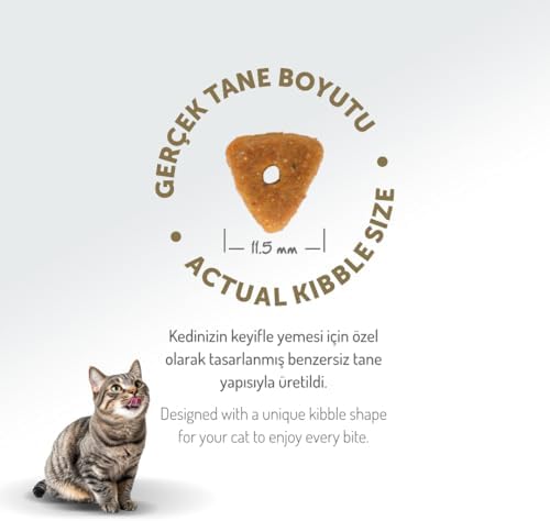 Felicia 5 Kg Kolajenli Somonlu Az Tahıllı Kısırlaştırılmış Kedi Maması HypoAllergenic Kedi Maması - Görsel 7